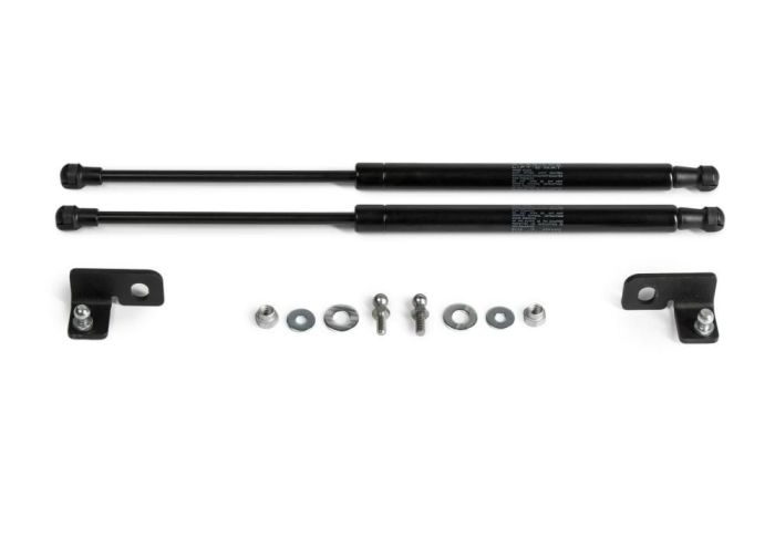 Hood shock absorbers Nissan Tiida from 2004 to 2014, set of 2 pcs., Rival