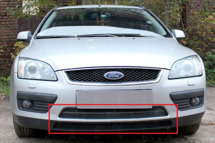 Radiator mesh Ford Focus 2 from 2005 to 2008, 2 parts, black, Standart, AllEst