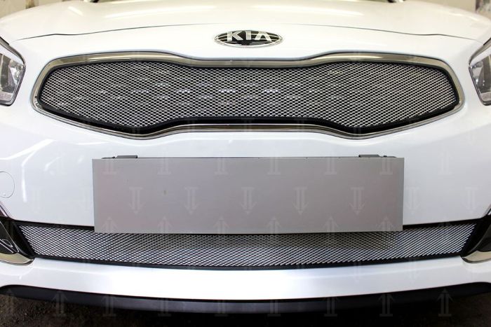 Radiator mesh Kia Ceed from 2015 to 2018, lower, silver, Standard, AllEst