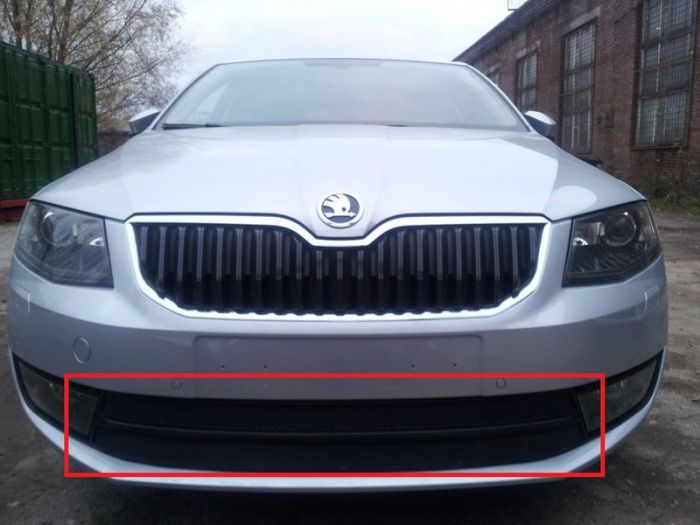 Radiator mesh Skoda Octavia A7 from 2013 to 2017, Ambition, Elegance, Style, black, Standart, AllEst