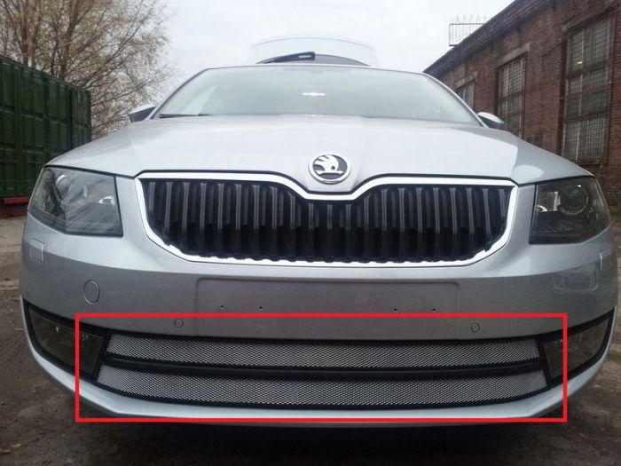 Radiator mesh Skoda Octavia A7 from 2013 to 2017, Ambition, Elegance, Style, silver, Standart, AllEst