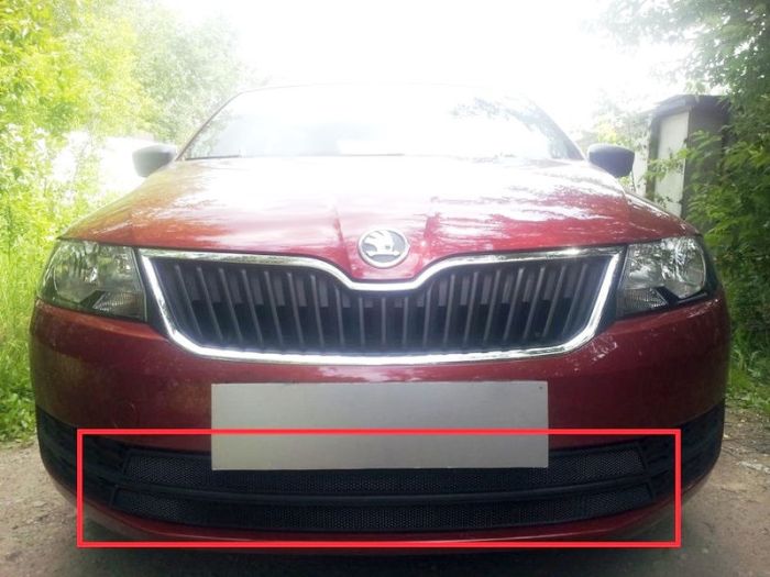 Radiator mesh Skoda Rapid from 2013 to 2017, 2 parts, black, Standart, AllEst