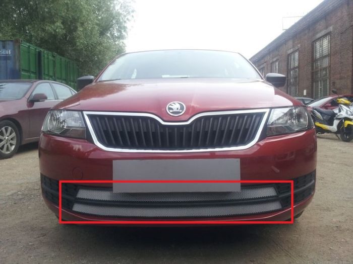 Radiator mesh Skoda Rapid from 2013 to 2017, 2 parts, silver, Standart, AllEst